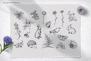 Wildflower Meadow Vector Set, a Decorative Illustration by Molly art (Thumbnail 2 of 12)