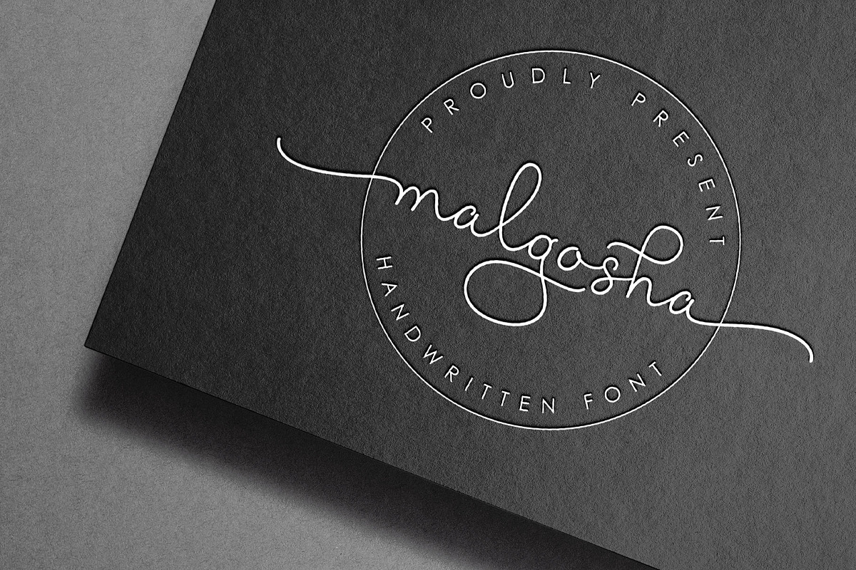 Malgosha Script, a Script Font by moriztype (Photo 4 of 21)