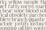 Belle Quest Stylish Serif, a Serif Font by KennedyStudio (Thumbnail 7 of 10)