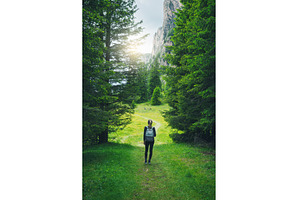 Hiker walking in a path in a green, a Person Photo by den-belitsky