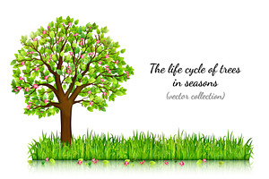 Four seasons trees vector