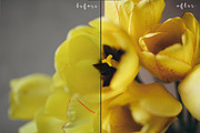 9 FILM presets for lightroom, a Preset Add-On by Trofimova Veronika (Thumbnail 2 of 8)