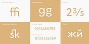 Core Sans GS, a Sans Serif Font by S-Core (Thumbnail 5 of 5)