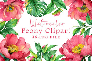 Watercolor Peony Clipart, an Illustration by Libby Wishes
