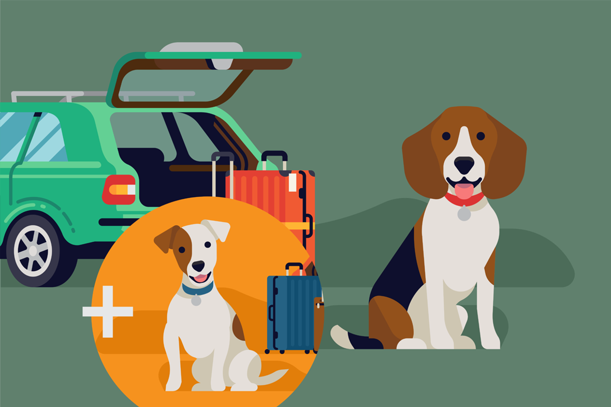 Travel with dog, an Animal Illustration by Masha Tace (Photo 1 of 2)