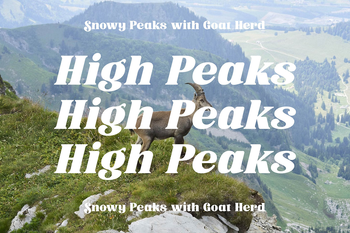 Trade Signal Modern Bold Serif, a Serif Font by timelesstype.co (Photo 11 of 20)