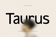 Taurus - Modern Unique Stylish Font, a Sans Serif Font by Hamz Studio (Thumbnail 1 of 17)
