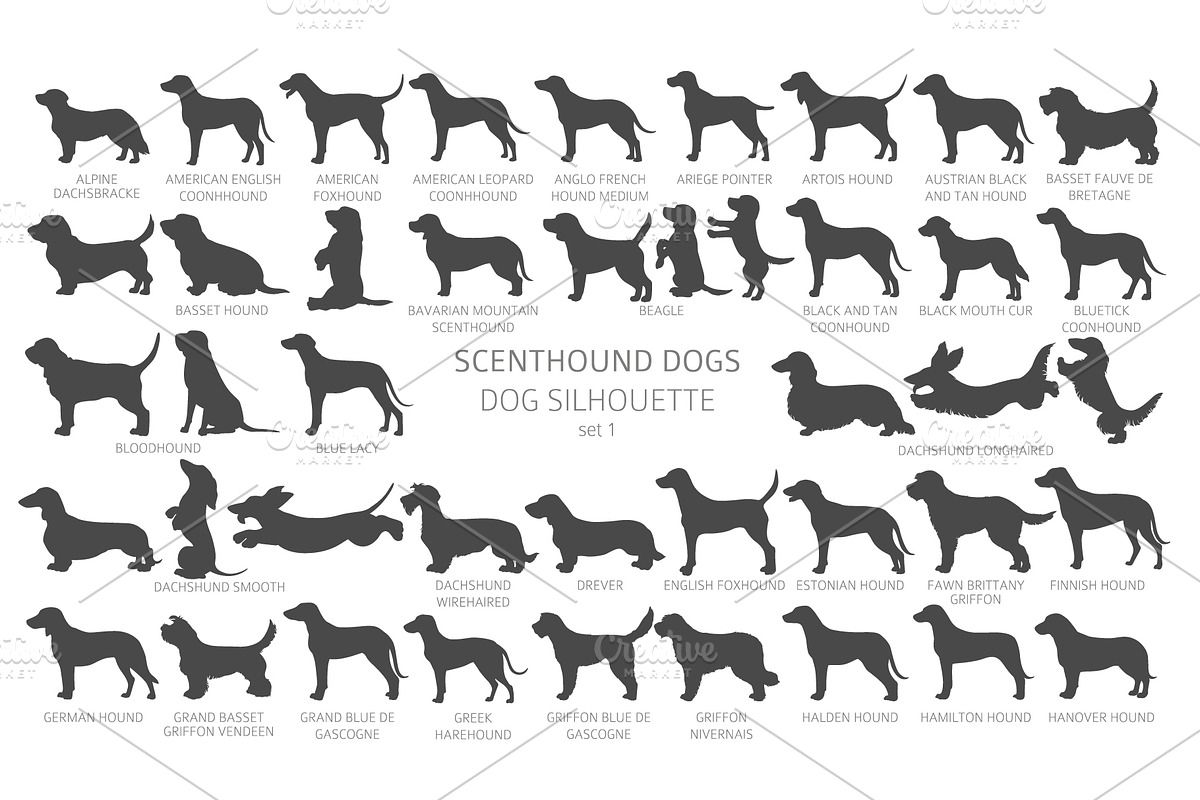 Scenthound (Hunting Dogs) Silhouette, an Animal Illustration by pet design shop (Photo 5 of 11)