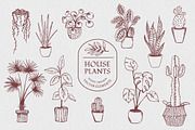 Plant Lover Vector Illustration Set, an Object Illustration by Annakaroline (Thumbnail 8 of 8)