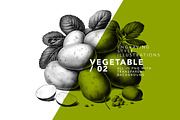 Vegetables in engraving style / 02, a Food Illustration by Graxaim Mock-up (Thumbnail 2 of 4)