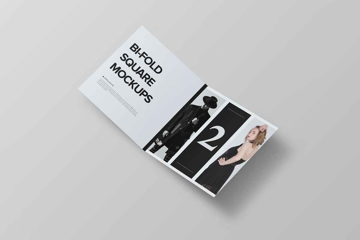 Bi-Fold Brochure Mockup 8 Style, a Print Template by Mockstore (Photo 7 of 18)