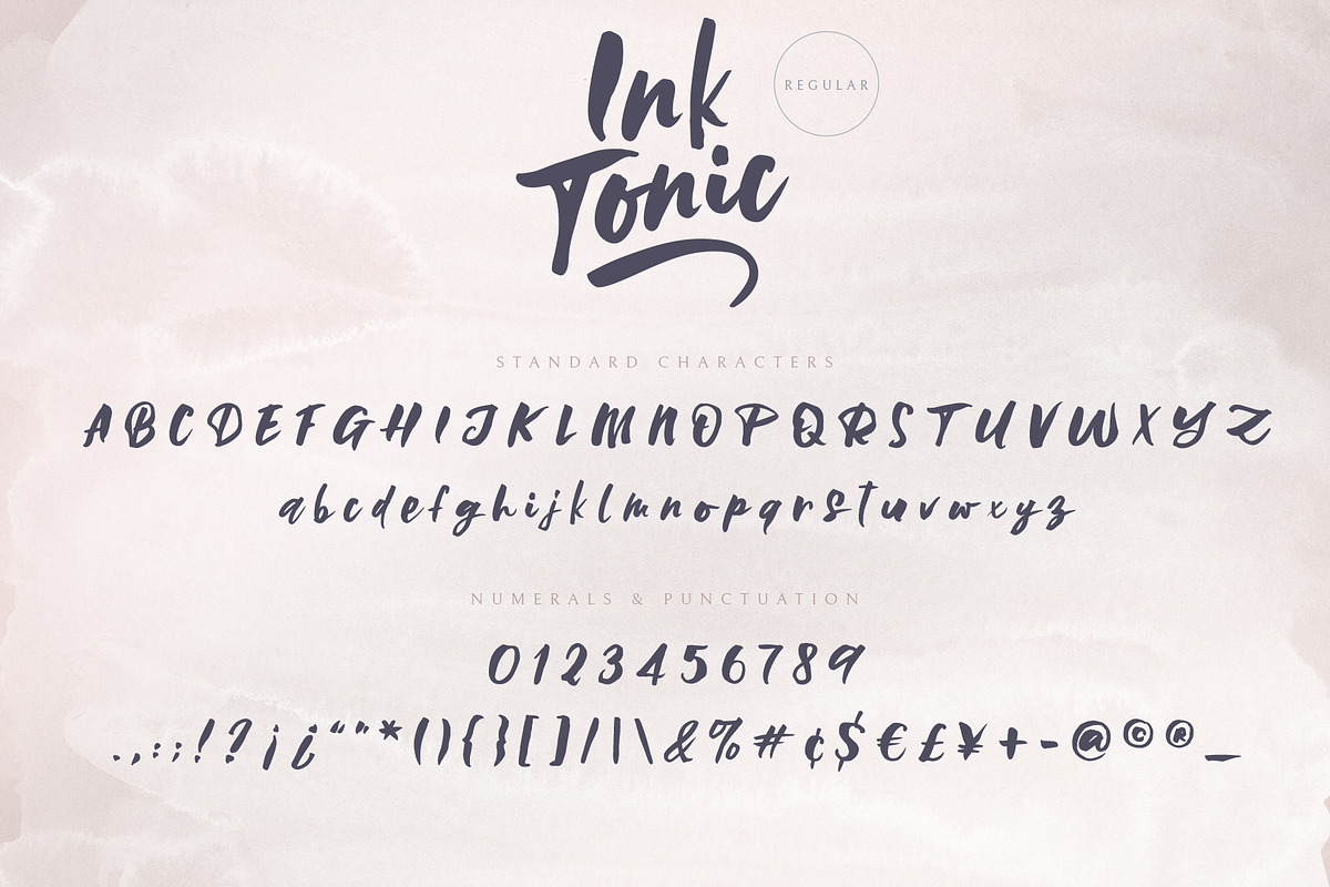 Ink Tonic | A SVG Brush Font, a Script Font by Ayca Atalay (Photo 20 of 21)