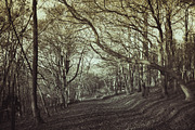 25 Dual Tone Landscape Presets, a Preset Add-On by Timeless Presets (Thumbnail 3 of 10)
