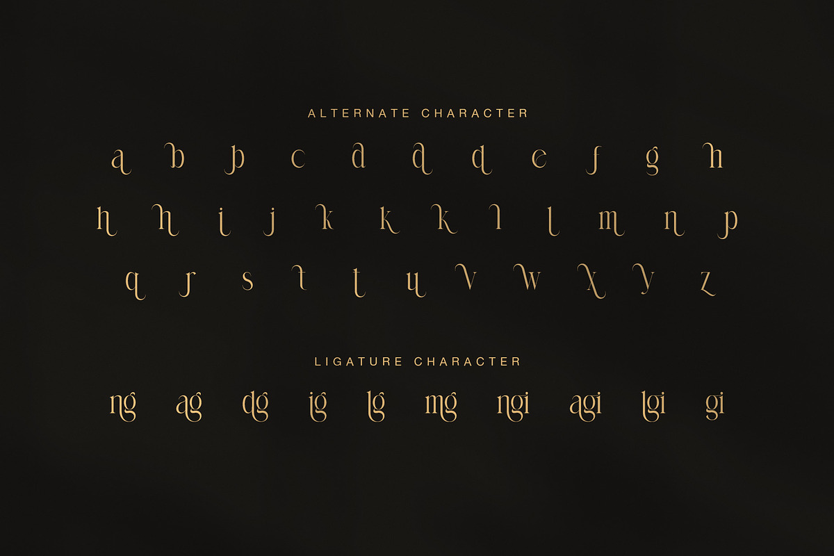 Sangid Elegant Serif Font, a Serif Font by Graphicxell (Photo 8 of 8)