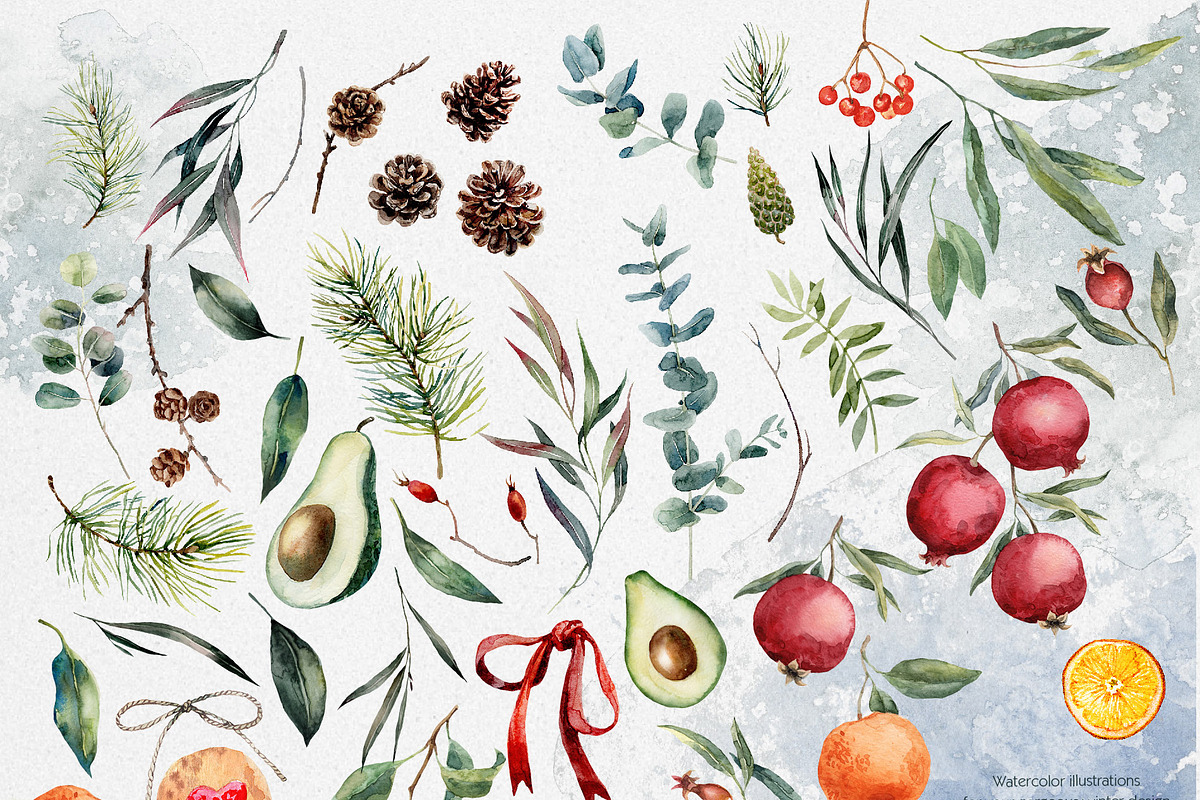 Watercolor winter clipart with fruit, a Decorative Illustration by RushkinaAntonina (Photo 5 of 9)