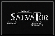The Salvator - Vintage Font Package, a Serif Font by Dm Studio (Thumbnail 3 of 12)