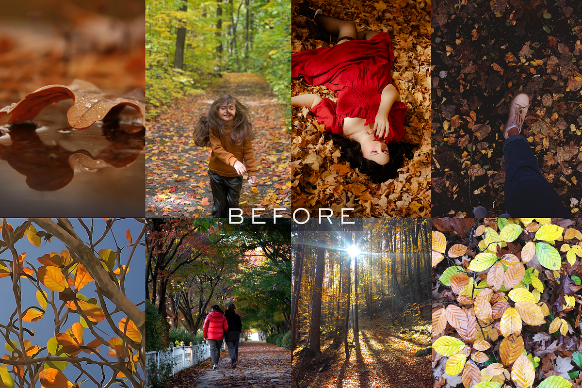 10 Autumn Leaves Lightroom Presets, a Preset Add-On by RamsaGraphi (Photo 2 of 10)