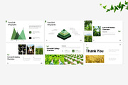 Minimalist Agriculture Template, a Presentation Template by Eklip Studio (Thumbnail 5 of 6)