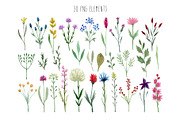 Watercolor Wildflowers, a Decorative Illustration by Slastick (Thumbnail 2 of 8)