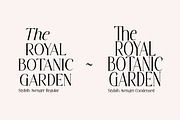 Stylish Avengers Serif Family, a Serif Font by moriztype (Thumbnail 5 of 13)