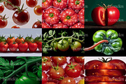 55 Aesthetic Tomatoes Stock Photos, a Food & Drink Photo by Incomelion (Thumbnail 9 of 13)