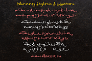 Kleransy Brush Font, a Handwritten Font by madeDeduk (Thumbnail 6 of 8)