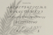 Qallies – Elegant Handwritten Font, a Handwritten Font by BrandSemut (Thumbnail 10 of 11)