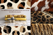 Contemporary Neutrals Stock images, a Beauty & Fashion Photo by MarkoPresets (Thumbnail 4 of 7)