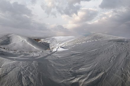 Snow covered fir trees on snowy mountain plateau, tops with snow, a Nature Photo by YuriyB