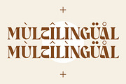 Crasey Modern Display Font, a Serif Font by Storytype Studio (Thumbnail 11 of 15)