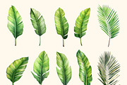 Tropical leaves patterns and element, a Decorative Illustration by irina.vaneeva (Thumbnail 11 of 11)