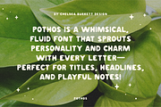 Pothos Font, a Sans Serif Font by Chelsea Burkett (Thumbnail 3 of 6)