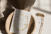 FIELD WILDFLOWERS watercolor, a Decorative Illustration by Lana Elanor (Thumbnail 5 of 12)