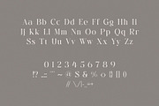 Velvet Shade – Elegant Serif Font, a Serif Font by BrandSemut (Thumbnail 7 of 8)