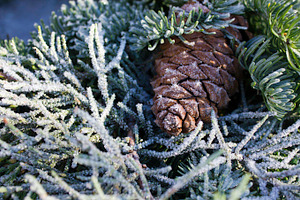 Wreath - up close