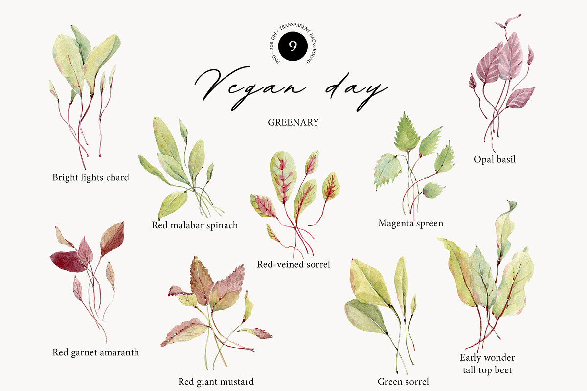 VEGAN DAY Watercolor set, a Food Illustration by Lemaris (Photo 7 of 10)