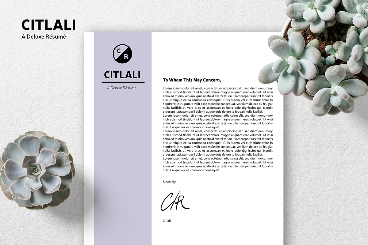 Citlali - Customizable Résumé, a Resume Template by lauren.ogard (Photo 1 of 2)