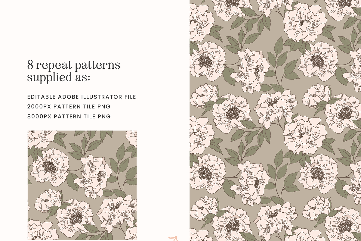 Blush Floral Vector Illustrations, a Decorative Illustration by Emma Webb Studio (Photo 10 of 12)