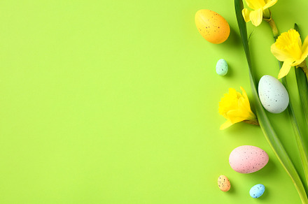 Happy Easter concept. Easter banner template with colorful Easter eggs, yellow, a Holiday Photo by photoguns