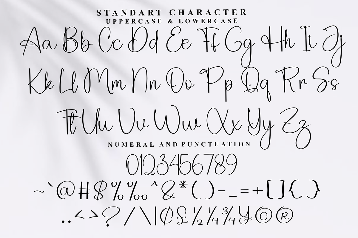 Branding Magnolia, a Handwritten Font by FreshTypeINK (Photo 2 of 8)