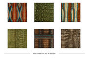 Crocodile or Alligator Skin Patterns, a Pattern Graphic by karenfoleyphoto (Thumbnail 8 of 9)