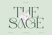 CS Sage – Art Nouveau Font, a Serif Font by Craft Supply Co. (Thumbnail 1 of 8)