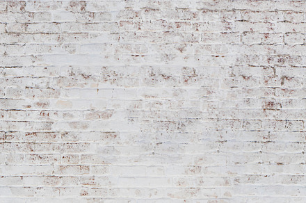 Light brick the texture of the stock photo containing brick and wall, an Abstract Photo by profdesign