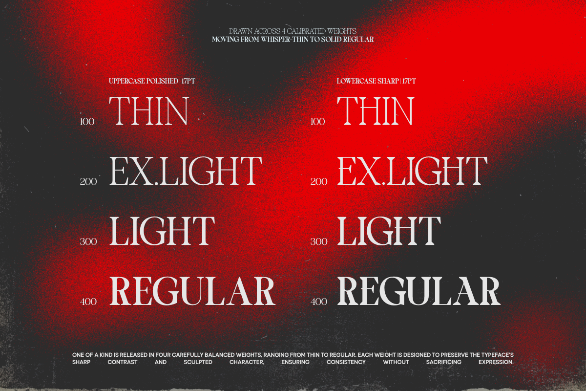 TBJ One Of A Kind Serif Font Family, a Serif Font by Taboja Studio (Photo 3 of 21)