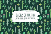 Cactus collection, an Illustration by Redchocolate (Thumbnail 1 of 6)