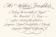 Bustra Script Pro, a Script Font by Alcode (Thumbnail 14 of 18)