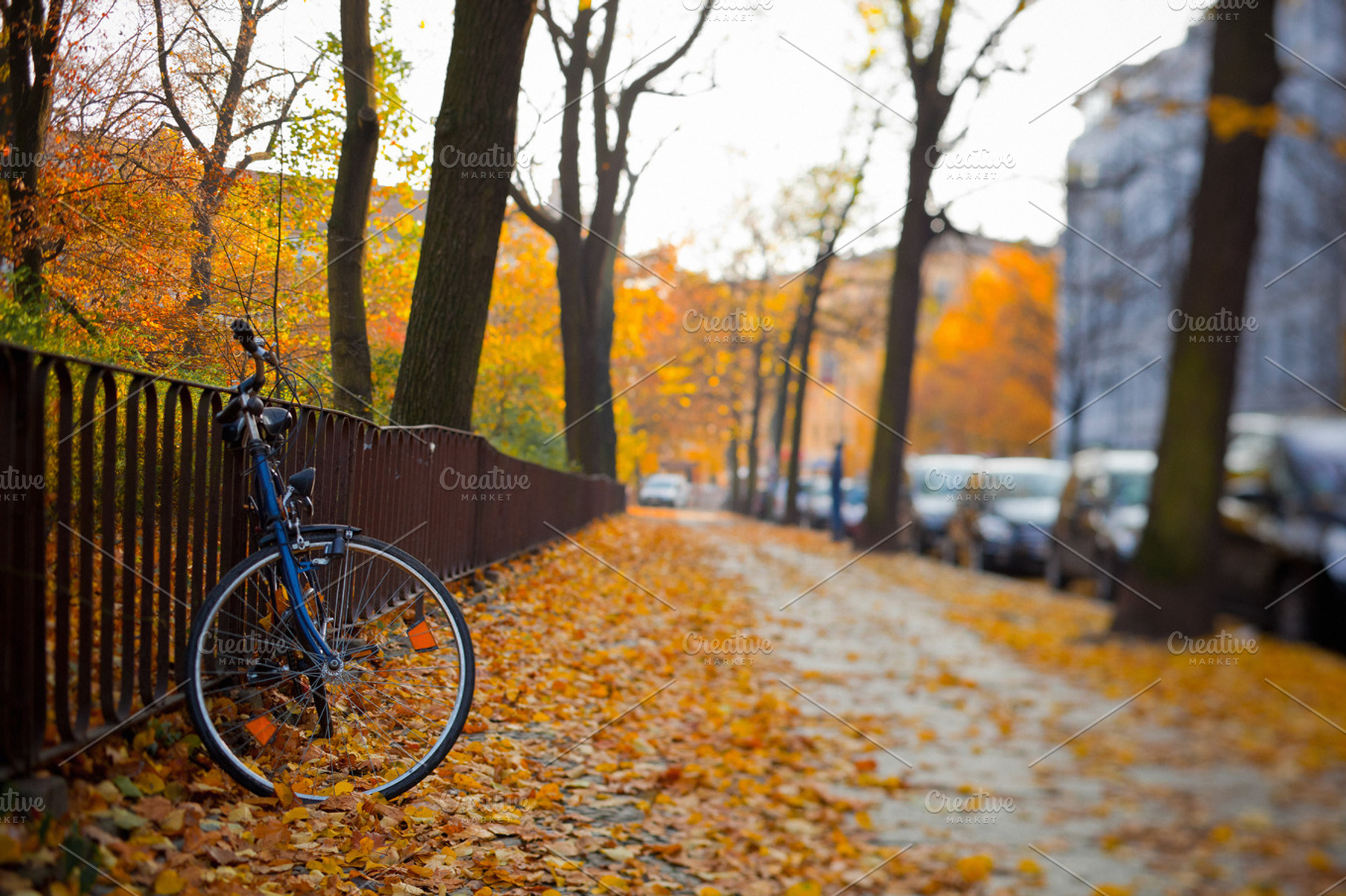 Bicycle in Berlin, a Transportation Photo by FunkyMedia
