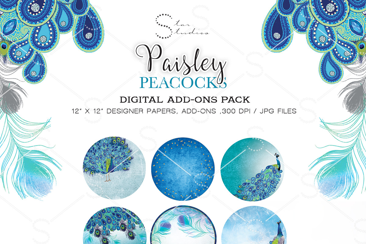 Paisley Peacocks Pack, an Illustration by Dana Designs (Photo 5 of 5)