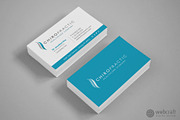 Chiropractic Logo Stationery, a Stationery Template by WebCraft (Thumbnail 3 of 9)