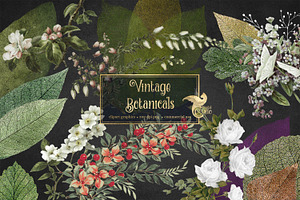 Vintage Botanical Clipart